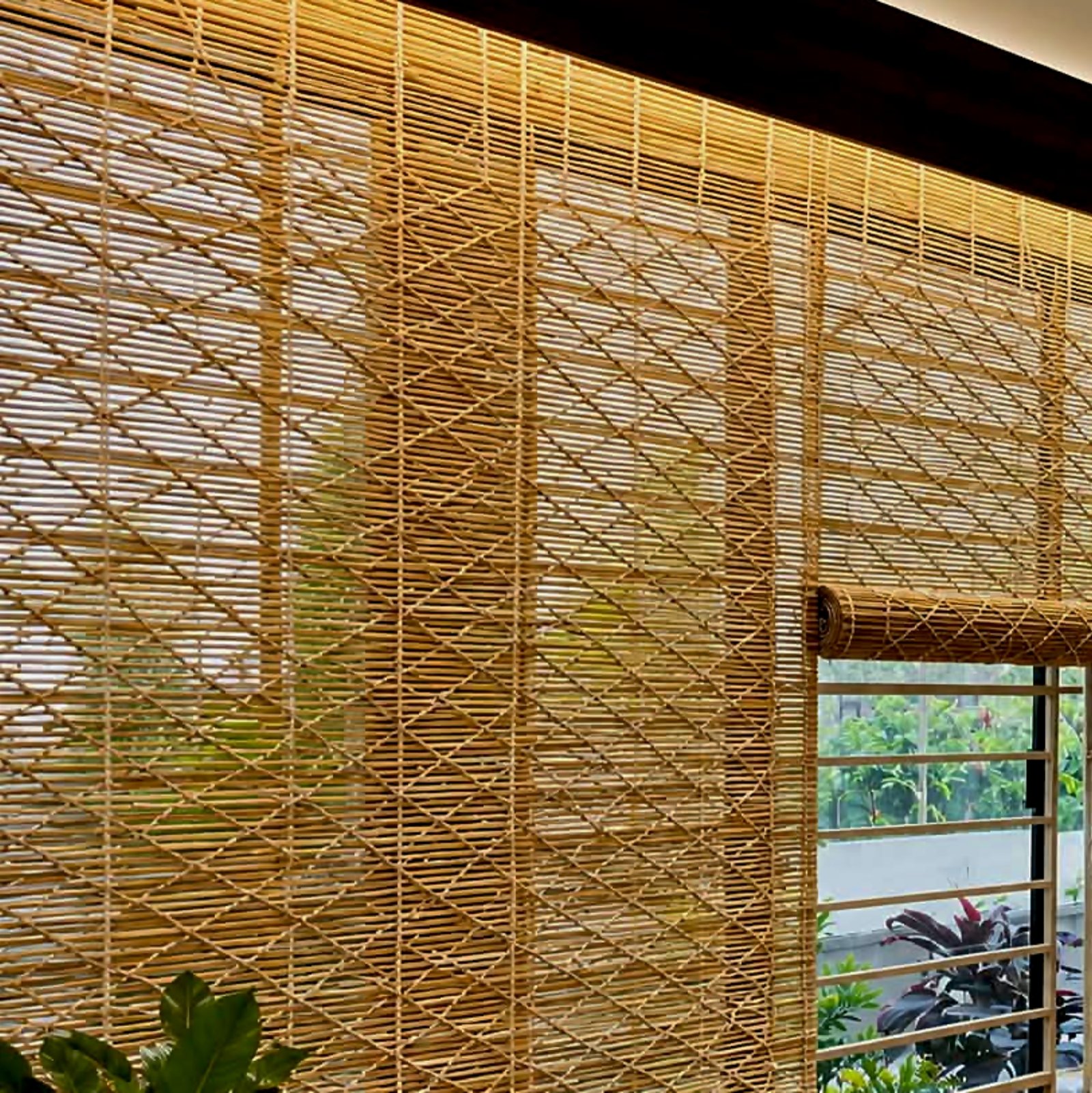 premium bamboo cartoon